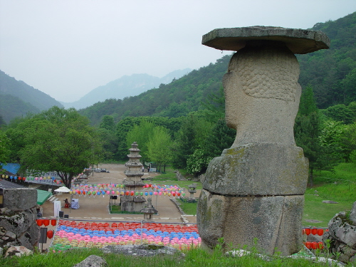 석불입상 뒤에서 본 미륵사지 